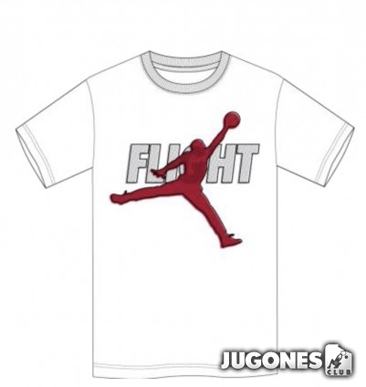 Jordan Reflective Flight Tee