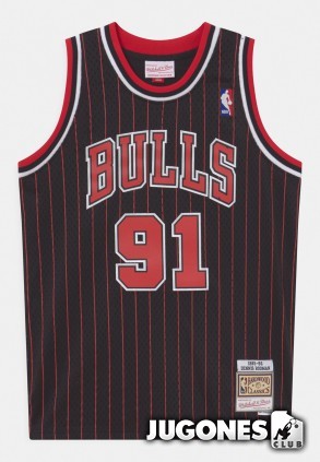 Chicago Bulls Dennis Rodman Jr 1995-1996