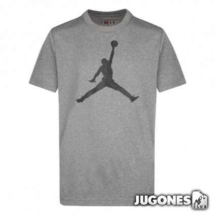 Camiseta Jordan Jumpman Dri-Fit