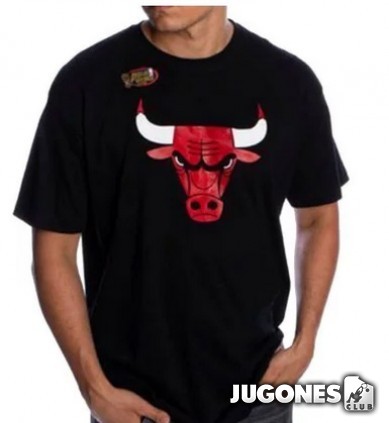 Camiseta Chicago Bulls