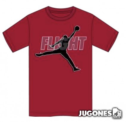 Jordan Reflective Flight Tee