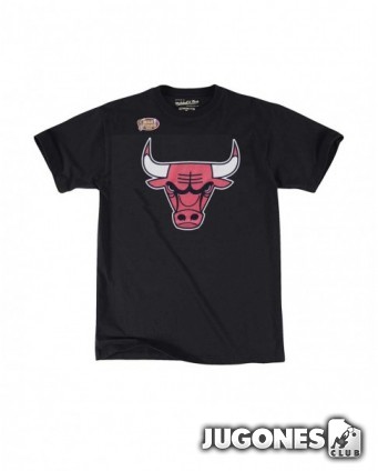 Camiseta Chicago Bulls