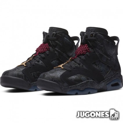 Air Jordan 6 Retro SD