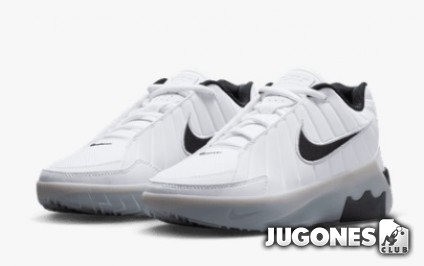 Lebron Witness IX(GS)