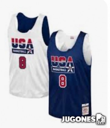 Authentic Reversible Practice Jersey Scottie Pippen