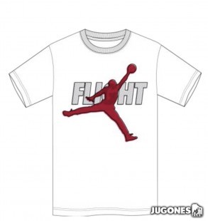 Camiseta Jordan Reflective Flight