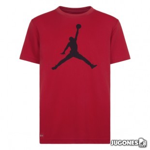 Jordan Jumpman Dri-fit t-shirt