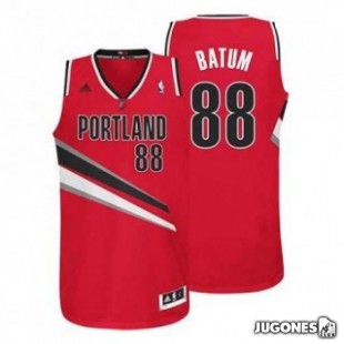 NBA Swingman Nicolas Batum jersey