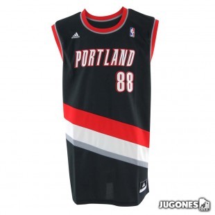 NBA Nicolas Batum Jersey