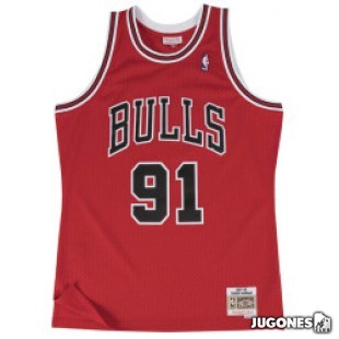 Chicago Bulls Dennis Rodman Jr 1997-1998