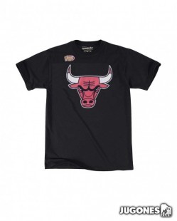 Chicago Bulls