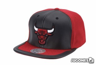 Bulls Mitchell & Nes Day One Snapback