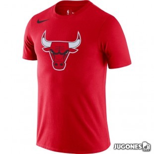 Chicago Bulls