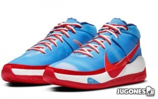 KD 13 Nets