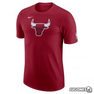 Camiseta Chicago Bulls