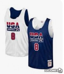 Authentic Reversible Practice Jersey Scottie Pippen