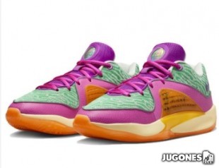 KD 16 ASW
