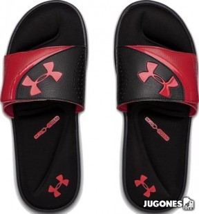 Ignite VI UA Slides