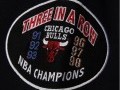 Sudadera Chicago Bulls Team Origins