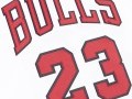 Camiseta Authentica Michael Jordan Chicago Bulls 1995-96