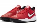 Nike Team Hustle Quick 2