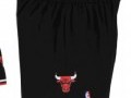 Alternate Swingman Shorts Bulls 97-98