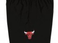 Alternate Swingman Shorts Bulls 97-98