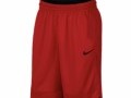 Nike Dri-Fit Icon Short