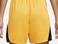 Nike Dri-Fit Isofly Short