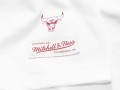 Gold Logo Tee White Jordan Bulls