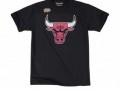 Camiseta Chicago Bulls