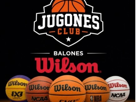 Consulta presupuestos de balones wilson
